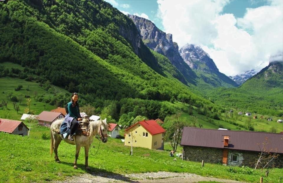 Dedushi Guesthouse &Wood Cabins-Camping Place Gusinje 外观 照片